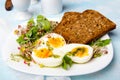 Healthy breakfast: Hard boiled eggs, fresh radish sprouts, arugula and dark whole wheat bread Royalty Free Stock Photo