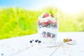 Healthy breakfast: layered dessrt yogurt parfait with fresh raspberries and black currant on wooden table over garden Royalty Free Stock Photo