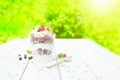 Healthy breakfast: layered dessrt yogurt parfait with fresh raspberries and black currant on wooden table over garden Royalty Free Stock Photo