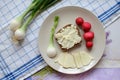 Healthy breakfast made of bread with sheep milk cheese, spring onion and radish Royalty Free Stock Photo