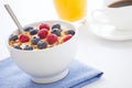 Healthy breakfast with muesli and fresh fruit Royalty Free Stock Photo