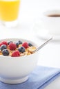 Healthy breakfast with muesli and fresh fruit Royalty Free Stock Photo