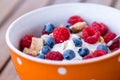 Healthy breakfast -muesli and fresh fruits Royalty Free Stock Photo