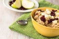 Healthy Breakfast Oatmeal Cereal With Apples and Cranberries Royalty Free Stock Photo