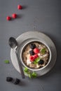 Healthy breakfast oatmeal porridge with raspberry blackberry Royalty Free Stock Photo