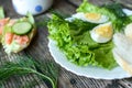 Healthy breakfast, sandwiches coffee salad eggs on dark wooden background. Plate food green vegetarian Royalty Free Stock Photo