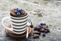 Healthy breakfast or snack. Chocolate mug cupcake with blueberries and chocolate chips in a gray striped ceramic mug on