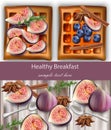 Healthy breakfast toasts with fig fruits Vector realistic