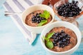 Two boils with Chia seed pudding with berries and carob Royalty Free Stock Photo