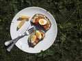 Healthy breakfast.White plate with whole grain bread sandwiches, with cream cheese, egg, avocado and selmon fish on the green