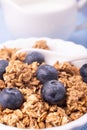 Healthy breakfast with wholemeal muesli, fruit and fresh milk