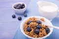 Healthy breakfast with wholemeal muesli, fruit and fresh milk