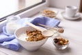 Healthy breakfast on window sill homemade granola with nuts Royalty Free Stock Photo