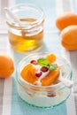 Healthy breakfast with yogurt apricot pomegranate honey