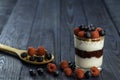 The healthy breakfast of yogurt with muesli, granola raspberry jam and fresh fruits raspberry and blueberry Royalty Free Stock Photo