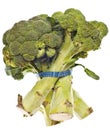 Healthy Broccoli Stalks