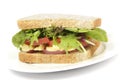 Healthy brown bread sandwich on plate