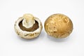 Healthy brown chestnut mushrooms isolated on white background Royalty Free Stock Photo