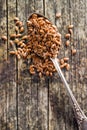 Healthy brown linseed. Royalty Free Stock Photo