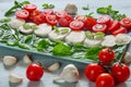 Healthy caprese salad with sliced mozzarella cheese, cherry tomatoes, fresh basil leaves, garlic. Traditional italian food Royalty Free Stock Photo
