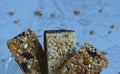 healthy cereal fitness bars in a glass saucer on a gray background