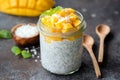 Healthy chia coconut pudding with mango