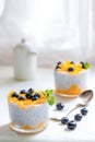 Healthy Chia Pudding with Coconut Milk, mango, chia seeds, blueberries in a Glass. Concept of healthy eating, healthy