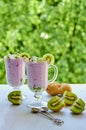 Healthy chia pudding in the glass with sliced kiwi fruit with copy space on the natural green background. Detox superfood Royalty Free Stock Photo