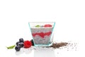 Healthy chia seed pudding with fresh berries