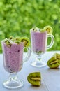 Healthy chia seeds pudding in two glasses with yogurt and fresh sliced kiwi fruit. Detox superfoods breakfast or diet dessert