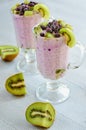 Healthy chia seeds pudding in two glasses with yogurt, fresh sliced kiwi fruit and frozen blueberries. Detox superfoods breakfast Royalty Free Stock Photo