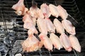 Healthy chicken on grill