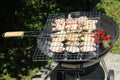 Healthy chicken on grill Royalty Free Stock Photo