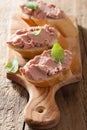 Healthy chicken liver pate with sage in jar and on bread Royalty Free Stock Photo