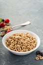 Healthy cold cereal in a white bowl Royalty Free Stock Photo