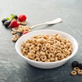 Healthy cold cereal in a white bowl Royalty Free Stock Photo