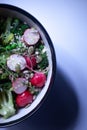 Healthy Colorful Spring Summer Salad Bowl