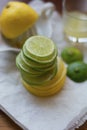 Healthy composition of lemon and lime.