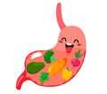 A healthy and contented stomach filled with fresh vegetables. Vector illustration in cartoon flat style on white background
