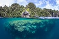 Beautiful Coral Reef and Limestone Islands in Raja Ampat