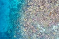 Aerial View of Healthy Coral Reef in Indonesia