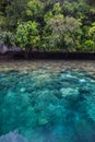 Beautiful Coral Reef and Rock Island in Palau