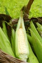 Healthy corn