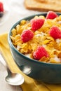 Healthy Cornflake Cereal Royalty Free Stock Photo