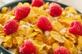 Healthy Cornflake Cereal Royalty Free Stock Photo