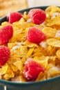 Healthy Cornflake Cereal Royalty Free Stock Photo