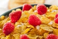 Healthy Cornflake Cereal Royalty Free Stock Photo