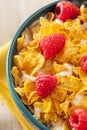 Healthy Cornflake Cereal Royalty Free Stock Photo