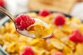 Healthy Cornflake Cereal Royalty Free Stock Photo