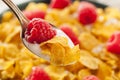 Healthy Cornflake Cereal Royalty Free Stock Photo